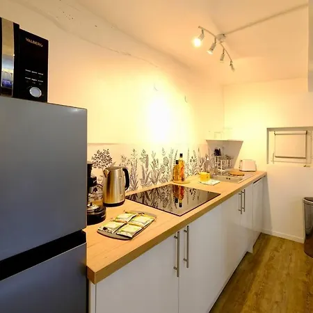 Apartment Le Saint Nicaise - Centre