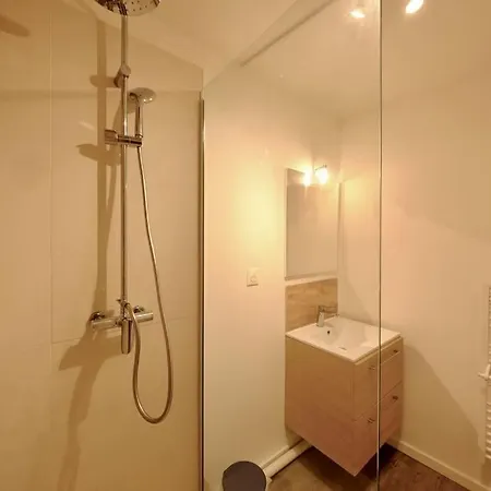 Apartmán Le Saint Nicaise - Centre *