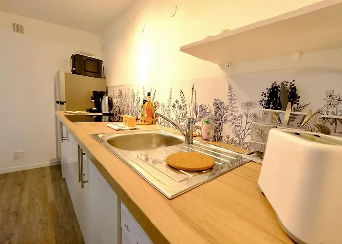 Apartment Le Saint Nicaise - Centre